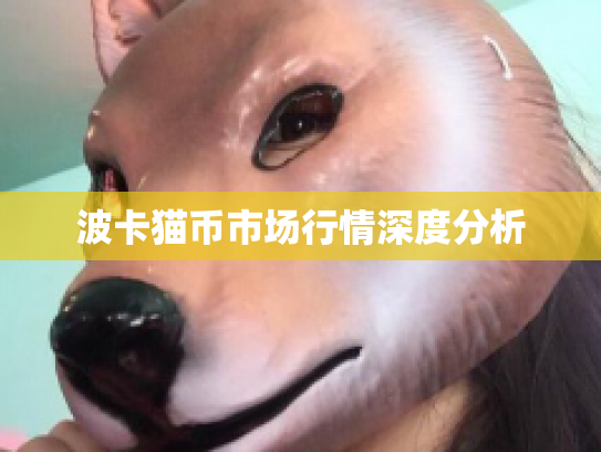 波卡猫币市场行情深度分析