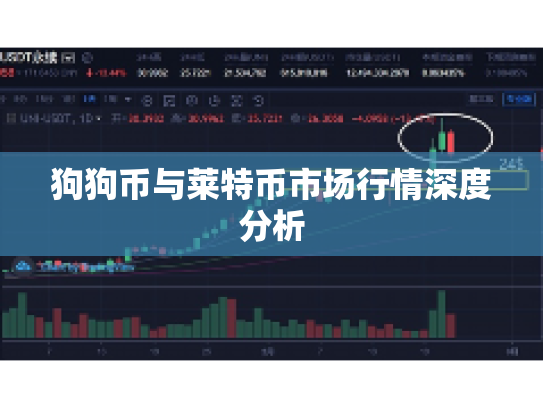 狗狗币与莱特币市场行情深度分析