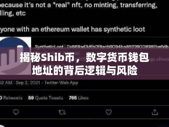 揭秘Shib币，数字货币钱包地址的背后逻辑与风险