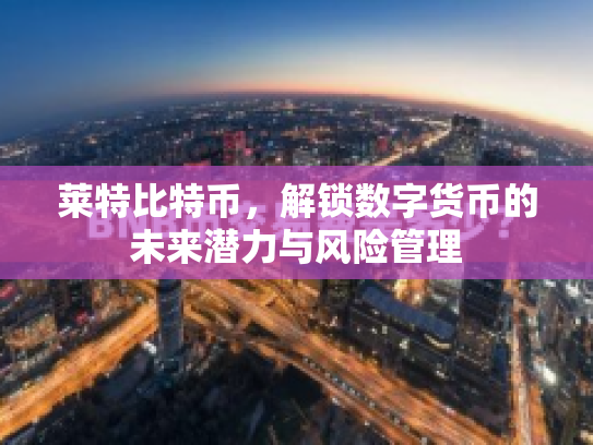 莱特比特币，解锁数字货币的未来潜力与风险管理