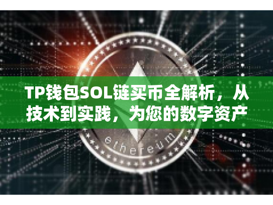TP钱包SOL链买币全解析，从技术到实践，为您的数字资产投资保驾护航