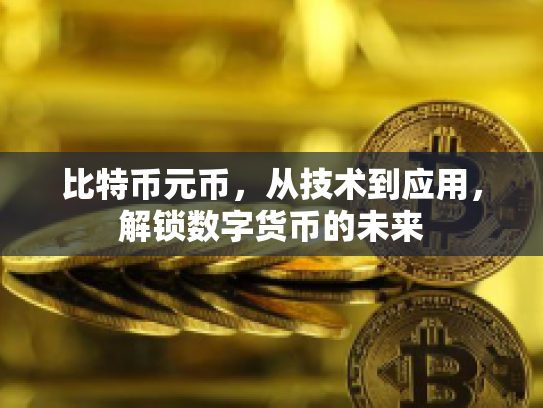 比特币元币，从技术到应用，解锁数字货币的未来