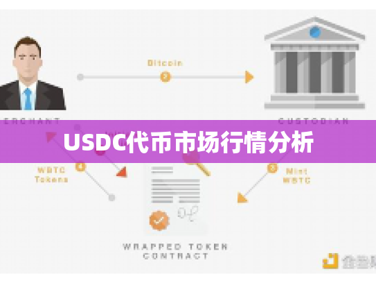 USDC代币市场行情分析