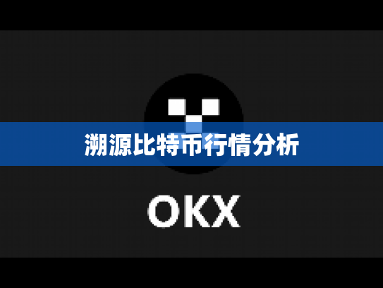 溯源比特币行情分析