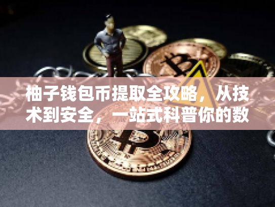 柚子钱包币提取全攻略，从技术到安全，一站式科普你的数字资产提取之旅