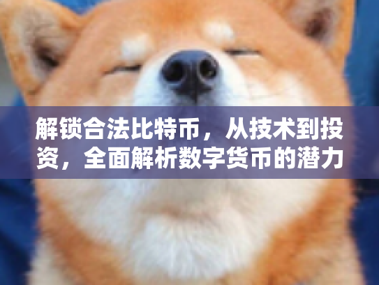 解锁合法比特币，从技术到投资，全面解析数字货币的潜力与风险