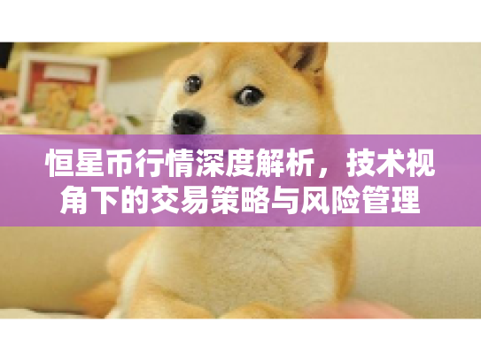 恒星币行情深度解析，技术视角下的交易策略与风险管理