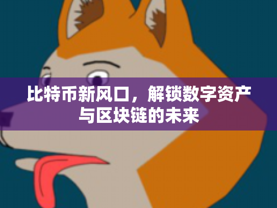 比特币新风口，解锁数字资产与区块链的未来
