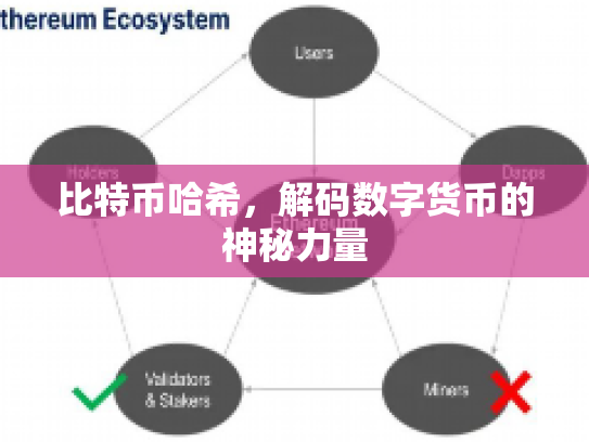 比特币哈希，解码数字货币的神秘力量
