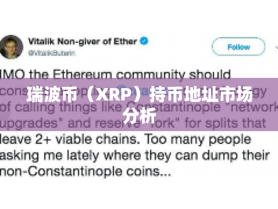 瑞波币（XRP）持币地址市场分析