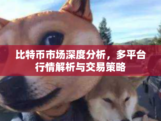 比特币市场深度分析，多平台行情解析与交易策略