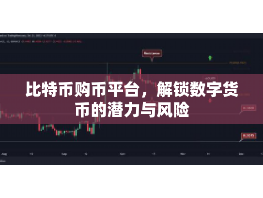 比特币购币平台，解锁数字货币的潜力与风险