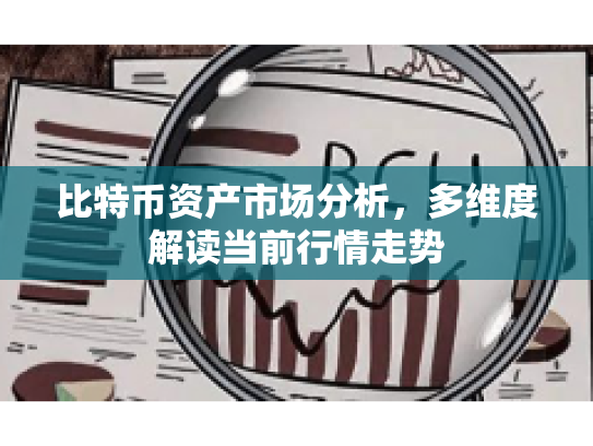 比特币资产市场分析，多维度解读当前行情走势