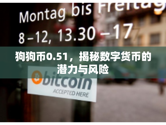 狗狗币0.51，揭秘数字货币的潜力与风险
