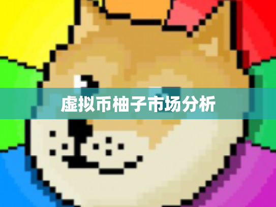 虚拟币柚子市场分析