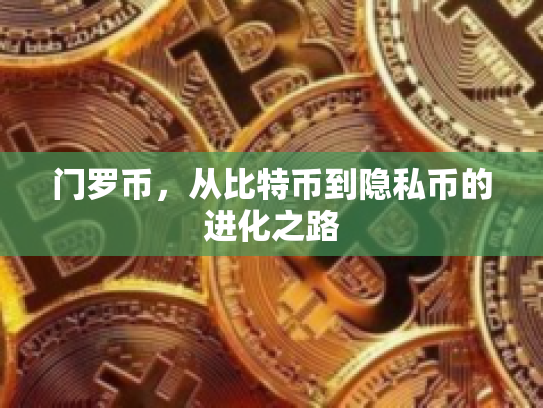 门罗币，从比特币到隐私币的进化之路