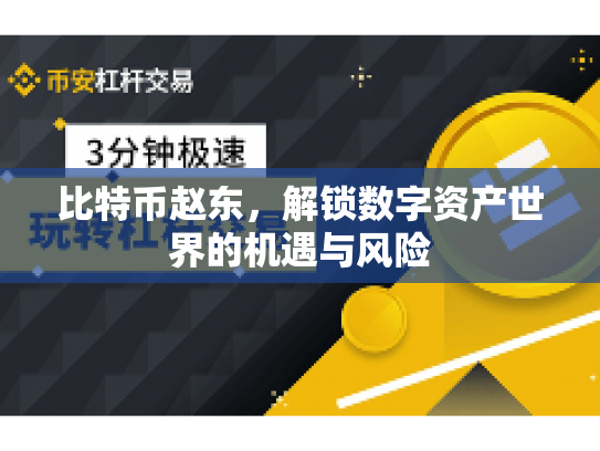 比特币赵东，解锁数字资产世界的机遇与风险