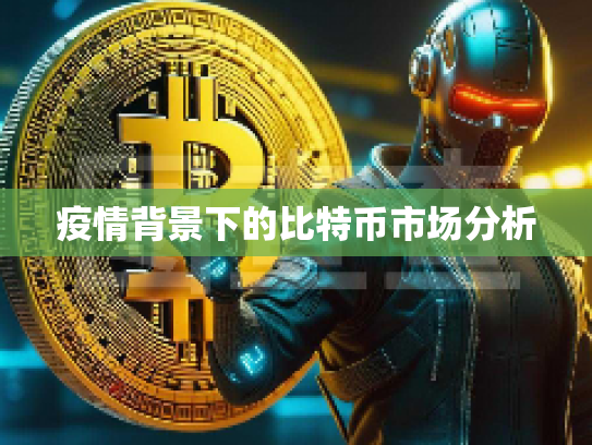 疫情背景下的比特币市场分析