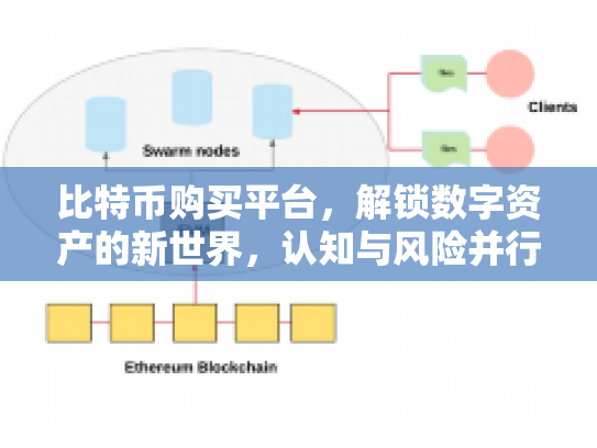 比特币购买平台，解锁数字资产的新世界，认知与风险并行的投资之旅