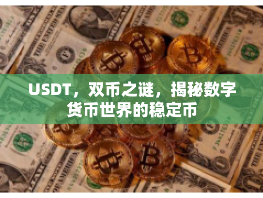 USDT，双币之谜，揭秘数字货币世界的稳定币