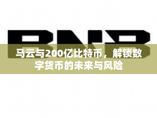 马云与200亿比特币，解锁数字货币的未来与风险