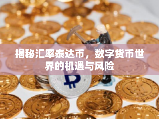 揭秘汇率泰达币，数字货币世界的机遇与风险