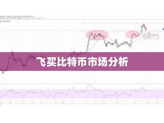 飞买比特币市场分析