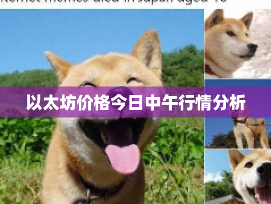 以太坊价格今日中午行情分析