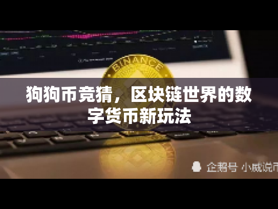 狗狗币竞猜，区块链世界的数字货币新玩法