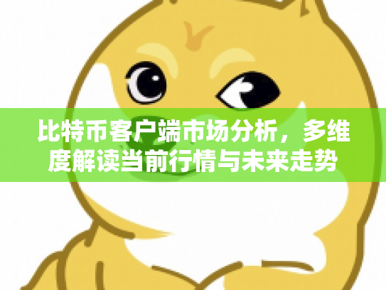 比特币客户端市场分析，多维度解读当前行情与未来走势