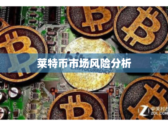 莱特币市场风险分析
