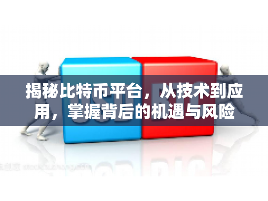 揭秘比特币平台，从技术到应用，掌握背后的机遇与风险