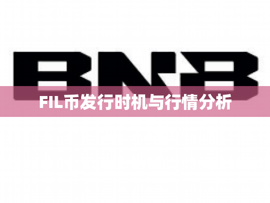 FIL币发行时机与行情分析
