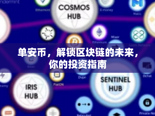 单安币，解锁区块链的未来，你的投资指南