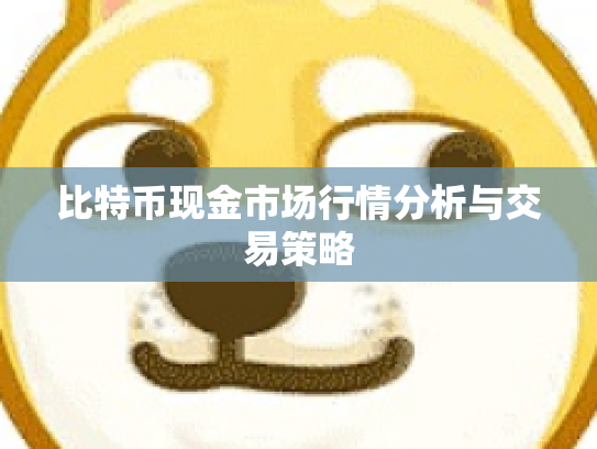 比特币现金市场行情分析与交易策略