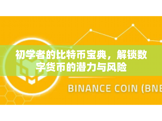 初学者的比特币宝典，解锁数字货币的潜力与风险