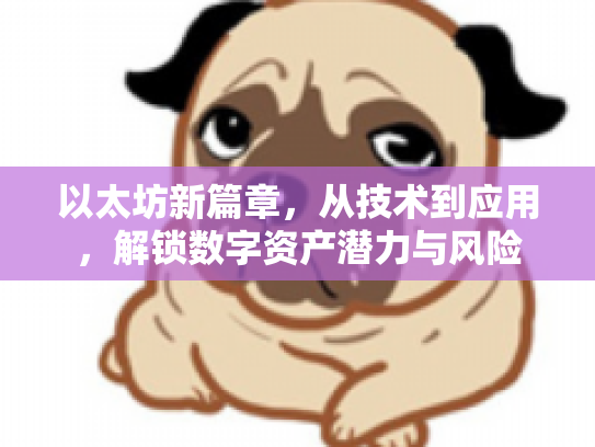 以太坊新篇章，从技术到应用，解锁数字资产潜力与风险