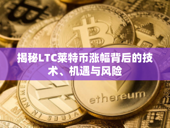 揭秘LTC莱特币涨幅背后的技术、机遇与风险