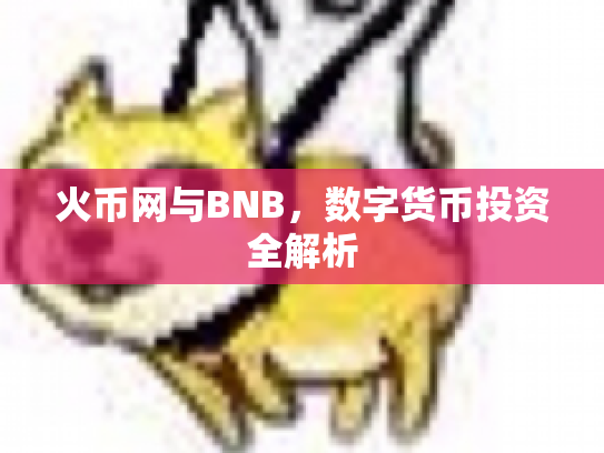 火币网与BNB，数字货币投资全解析