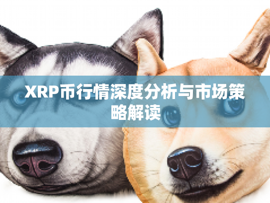 XRP币行情深度分析与市场策略解读
