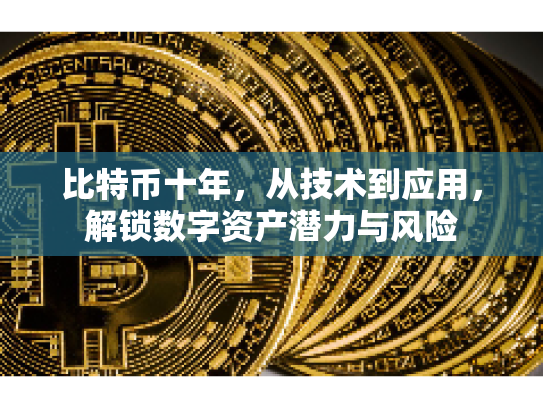 比特币十年，从技术到应用，解锁数字资产潜力与风险
