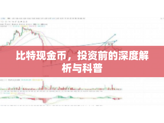 比特现金币，投资前的深度解析与科普