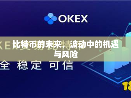 比特币的未来，波动中的机遇与风险