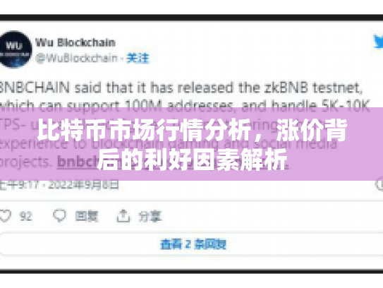 比特币市场行情分析，涨价背后的利好因素解析