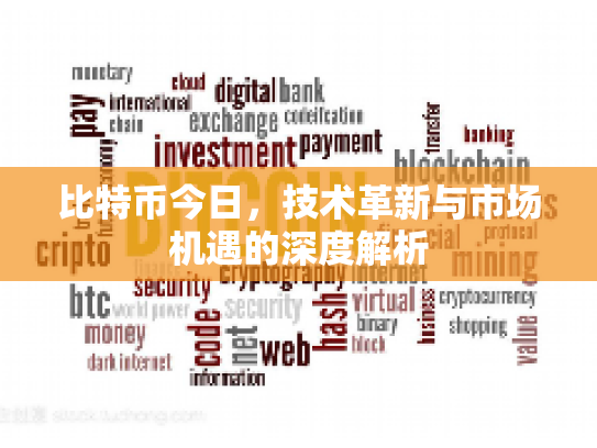 比特币今日，技术革新与市场机遇的深度解析