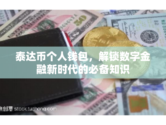 泰达币个人钱包，解锁数字金融新时代的必备知识