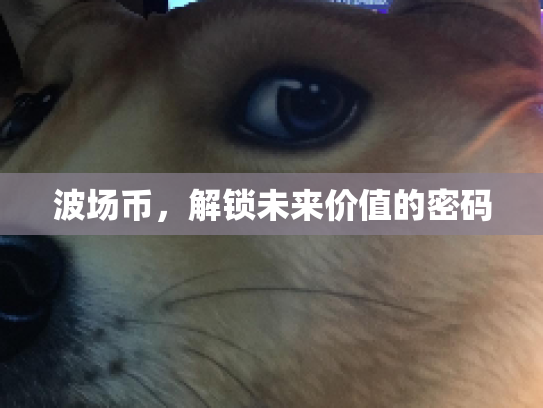 波场币，解锁未来价值的密码