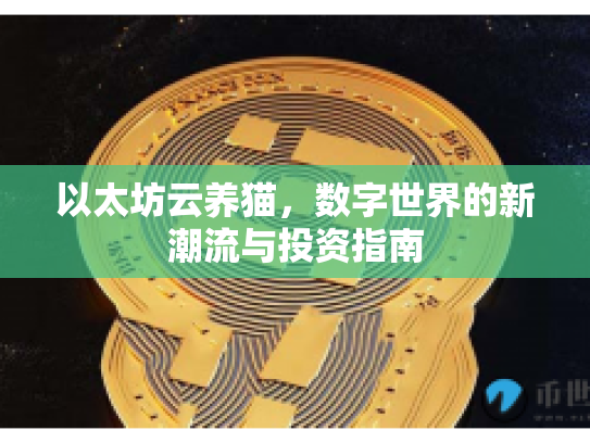 以太坊云养猫，数字世界的新潮流与投资指南