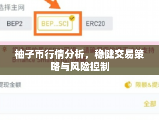 柚子币行情分析，稳健交易策略与风险控制