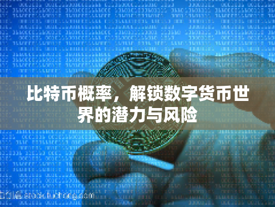 比特币概率，解锁数字货币世界的潜力与风险
